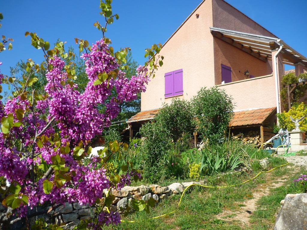 Le Gite De Cristal Proche Bugarach Granes 外观 照片