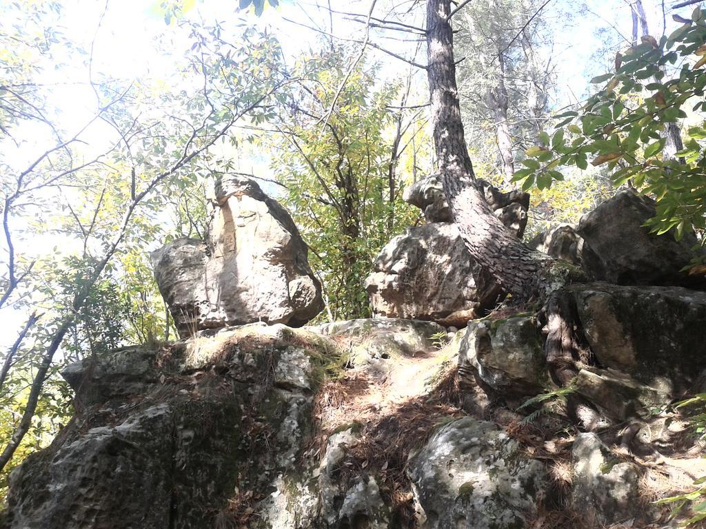 Le Gite De Cristal Proche Bugarach Granes 外观 照片