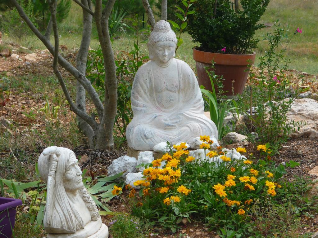 Le Gite De Cristal Proche Bugarach Granes 外观 照片