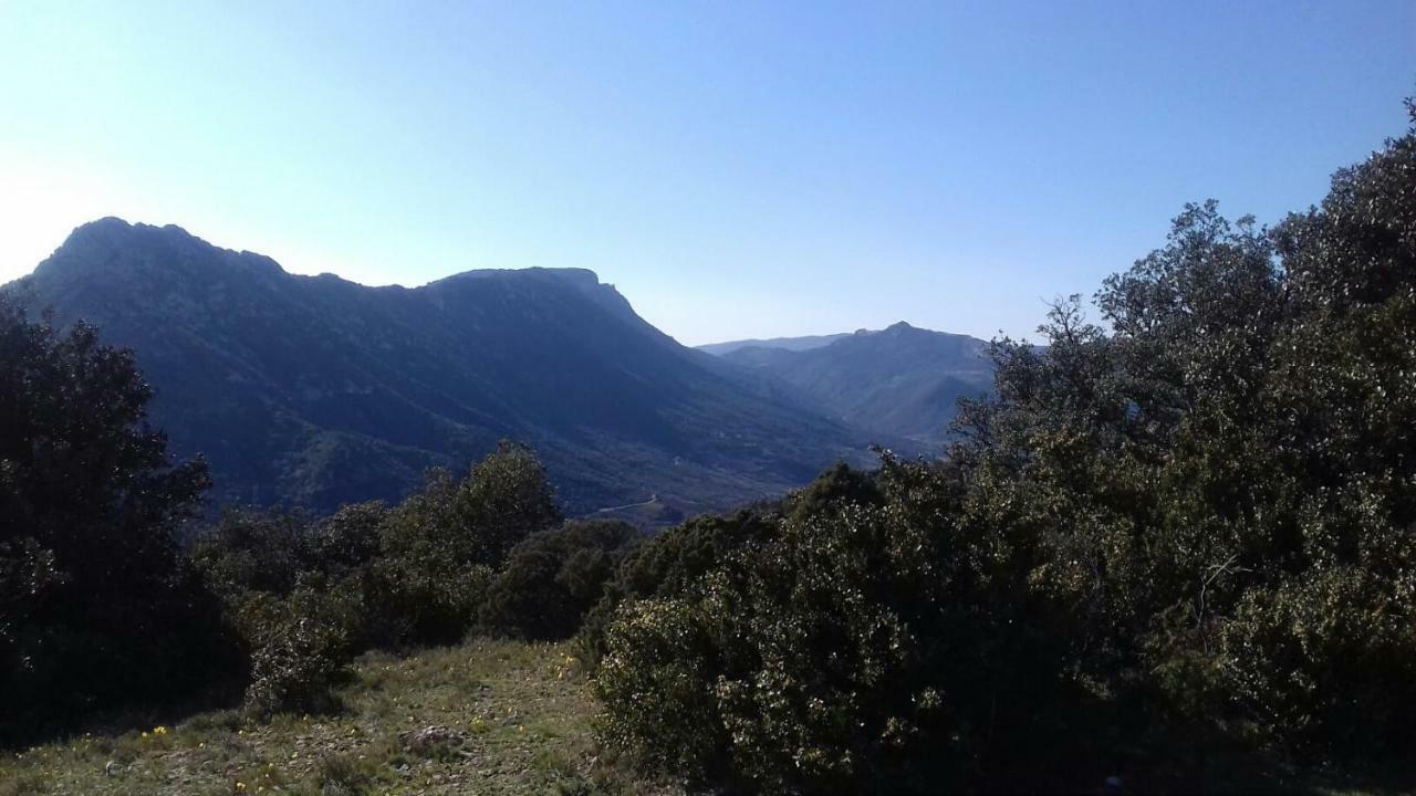 Le Gite De Cristal Proche Bugarach Granes 外观 照片