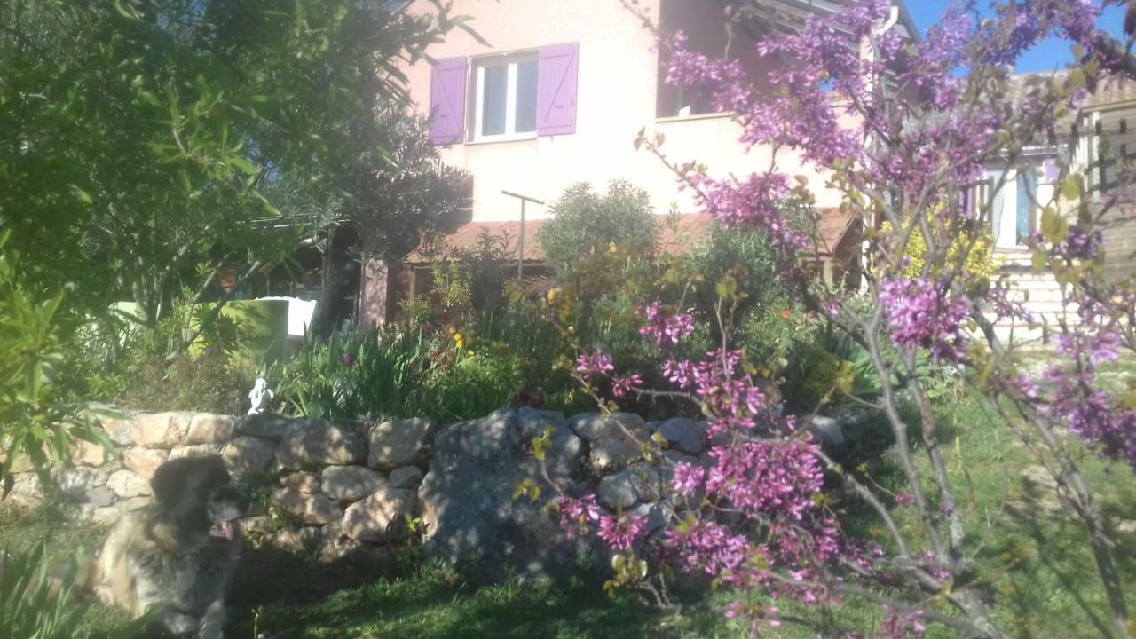 Le Gite De Cristal Proche Bugarach Granes 外观 照片